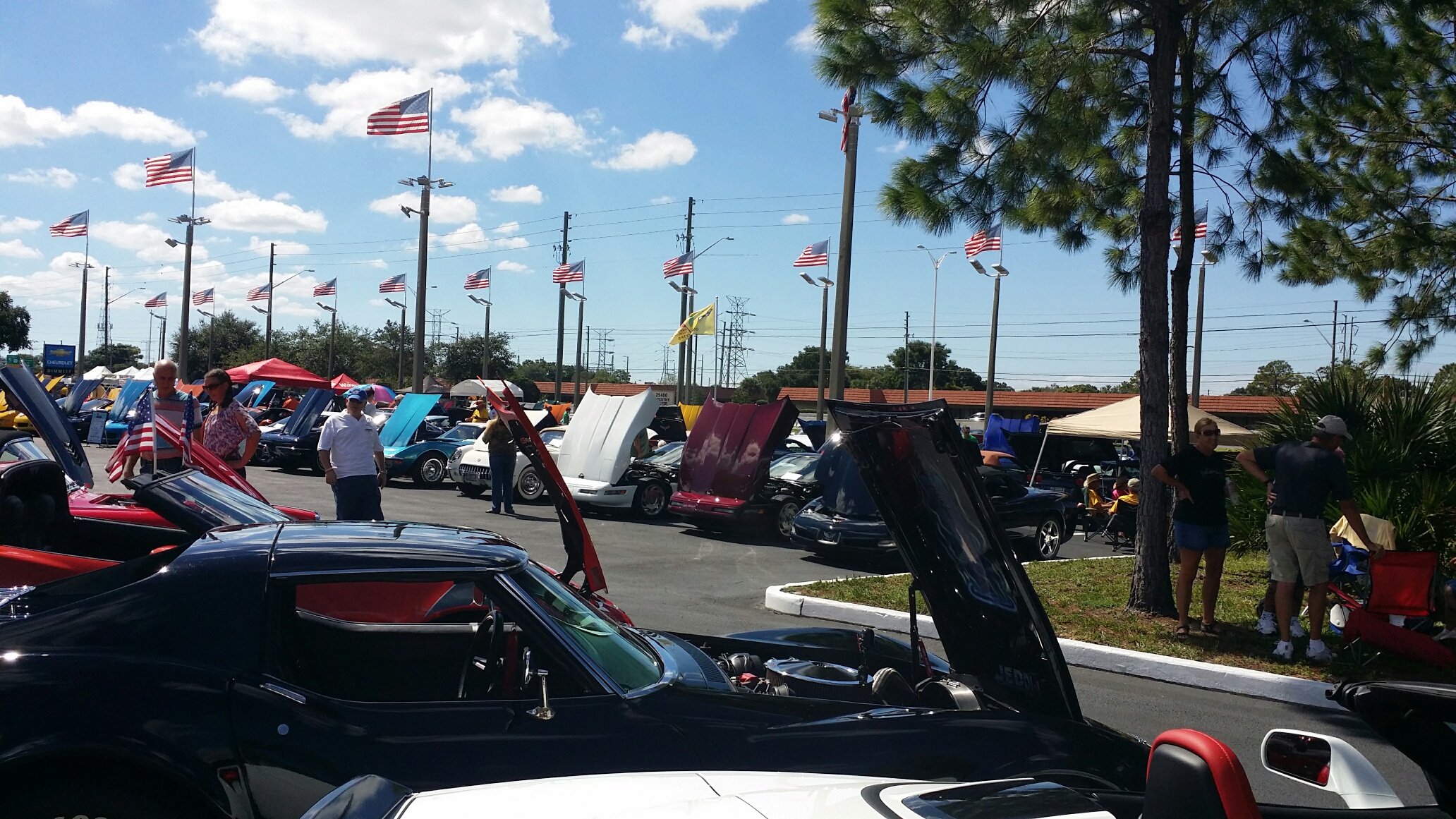 Dimmitt Chevrolet to host 18th annual Corvette show to benefit the Pediatric Cancer Foundation