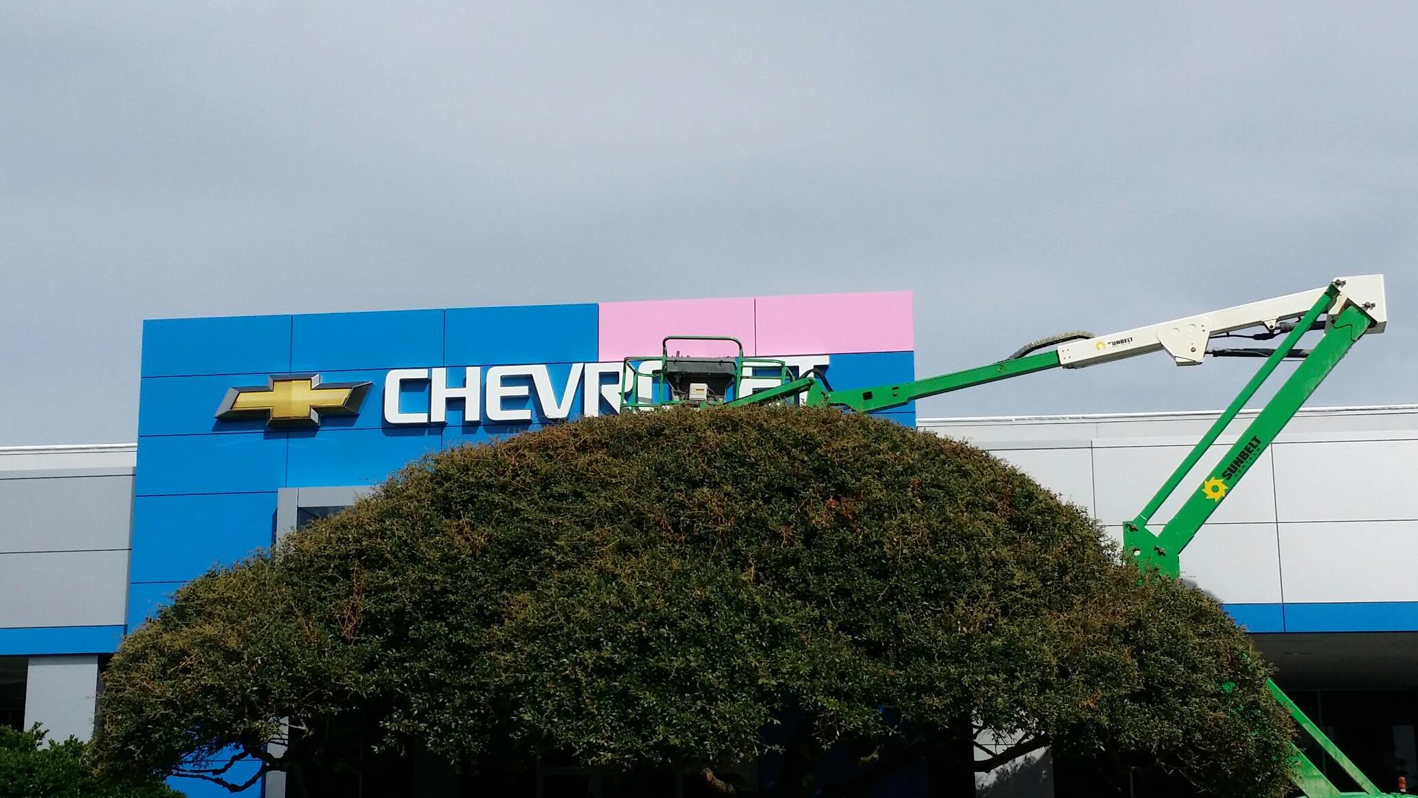 Dimmitt Chevrolet goes pink for Breast Cancer Awareness